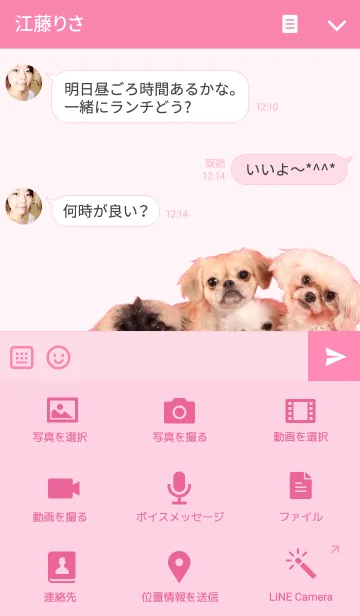 [LINE着せ替え] Pekingese familyの画像4