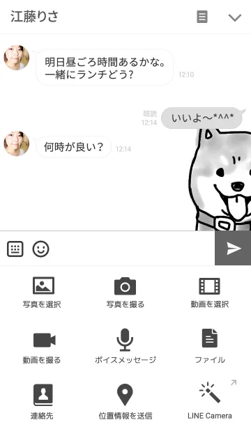 [LINE着せ替え] チラ見する柴犬の画像4