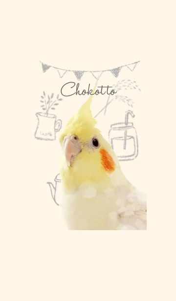 [LINE着せ替え] ゆるふわオカメインコの画像1