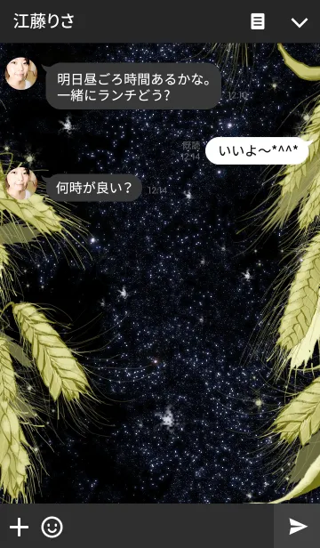 [LINE着せ替え] 夜のライ麦畑の画像3