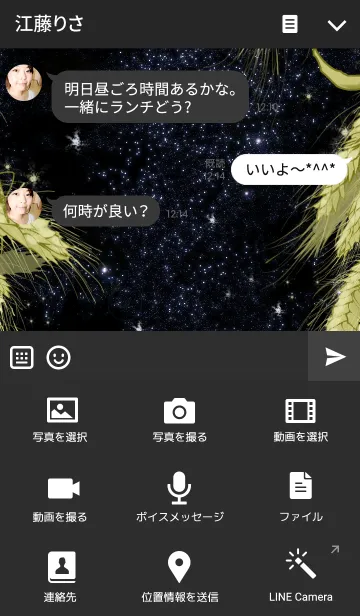 [LINE着せ替え] 夜のライ麦畑の画像4