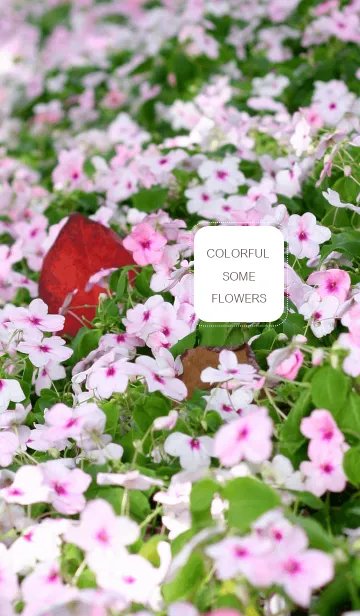 colorful some flowersの着せ替えメイン画像