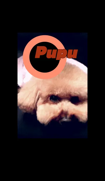 [LINE着せ替え] l am Pupuの画像1