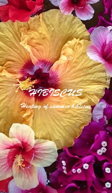 [LINE着せ替え] Hibiscus＊summerの画像1