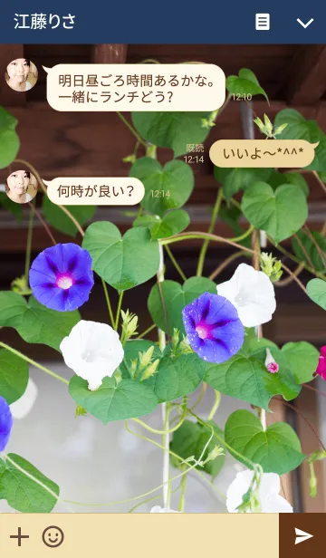 [LINE着せ替え] アサガオの画像3