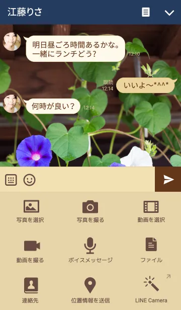 [LINE着せ替え] アサガオの画像4