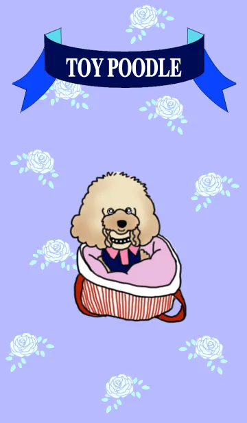 トイプーのCoCoちゃんの着せ替えメイン画像