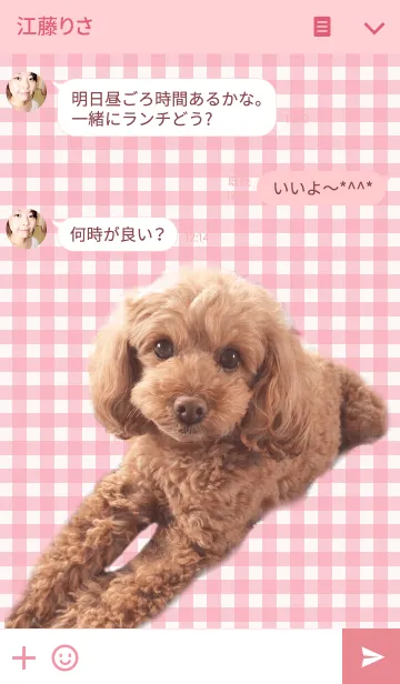 [LINE着せ替え] 大好き！トイプードル2の画像3
