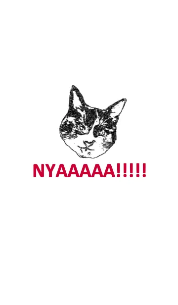 NYAAAAA！！！！！のLINE着せ替え
