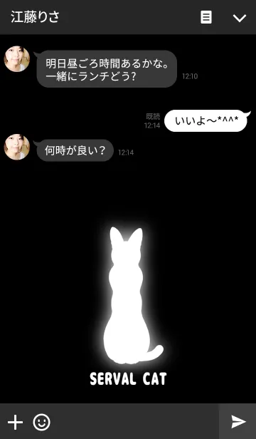 [LINE着せ替え] サーバルキャットシルエットホワイトライトの画像3