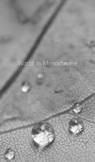 [LINE着せ替え] World in Monochromeの画像1