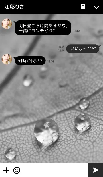 [LINE着せ替え] World in Monochromeの画像3
