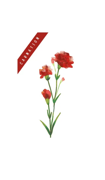 [LINE着せ替え] 赤いカーネーションの画像1