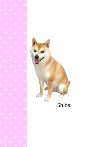 柴犬の日常7【ハート】の着せ替えメイン画像