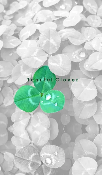 [LINE着せ替え] Tearful Clover ～涙ぐむクローバー～の画像1