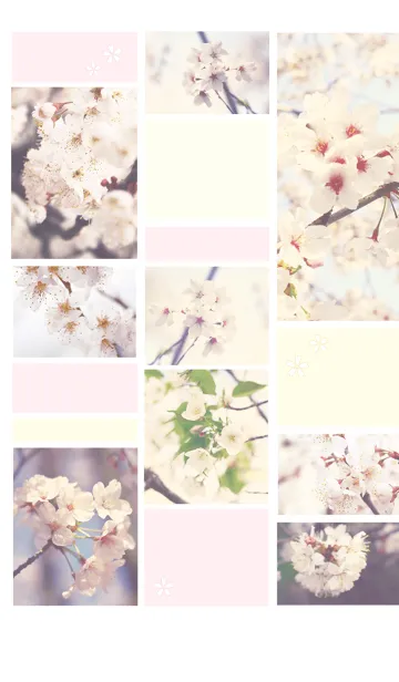 [LINE着せ替え] 桜、咲くの画像1