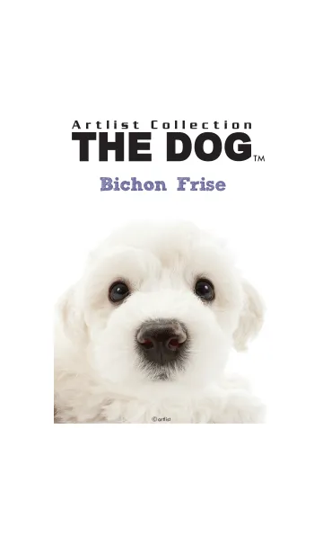 [LINE着せ替え] THE DOG ビション・フリーゼの画像1