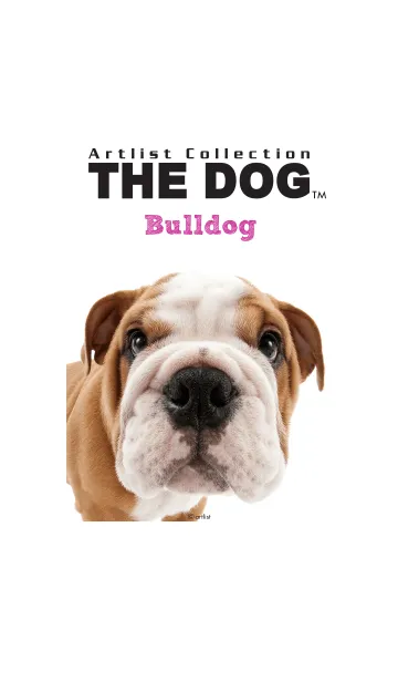THE DOG ブルドッグの着せ替えメイン画像