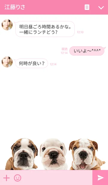 [LINE着せ替え] THE DOG ブルドッグの画像3