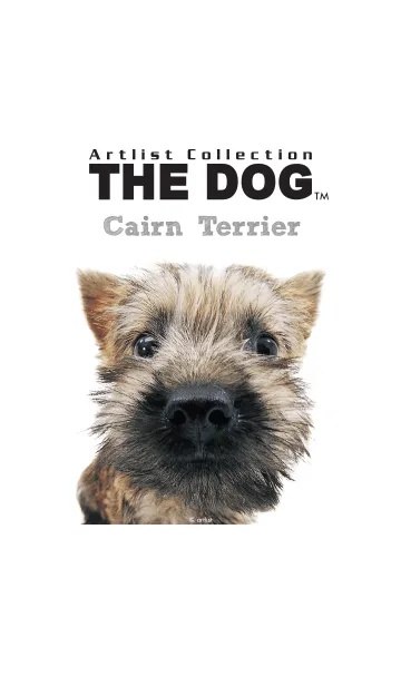 THE DOG ケアーン • テリアの着せ替えメイン画像