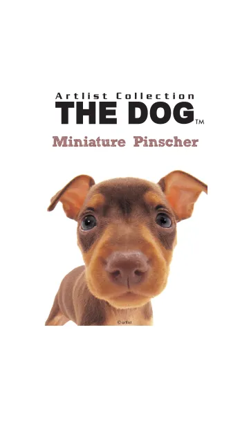 [LINE着せ替え] THE DOG ミニチュア • ピンシャーの画像1