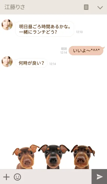 [LINE着せ替え] THE DOG ミニチュア • ピンシャーの画像3