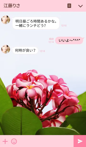 [LINE着せ替え] パラダイス ガーデン-24の画像3