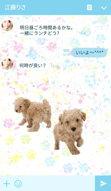 [LINE着せ替え] わんにゃんLOVE Toy poodleの画像3