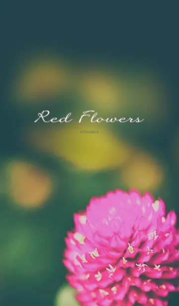 [LINE着せ替え] Red Flowersの画像1