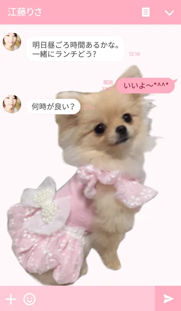 [LINE着せ替え] Pomeranian -COCO-の画像3