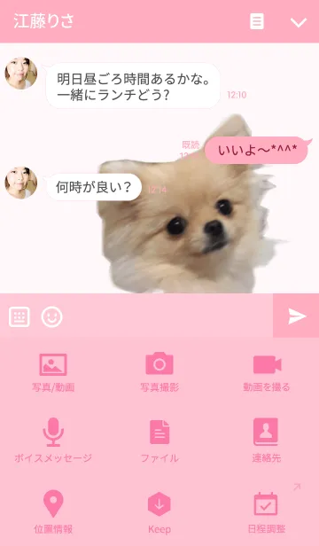[LINE着せ替え] Pomeranian -COCO-の画像4