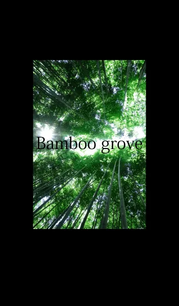 [LINE着せ替え] 竹林と竹の子の画像1