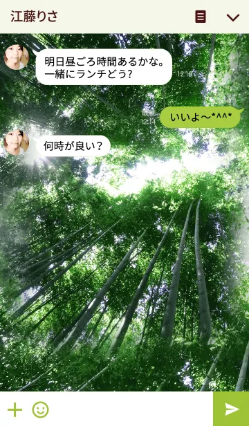 [LINE着せ替え] 竹林と竹の子の画像3