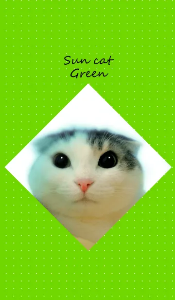 Sun cat greenの着せ替えメイン画像