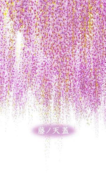 藤ノ天蓋の着せ替えメイン画像