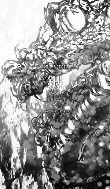 [LINE着せ替え] 銀 龍 SILVER-DRAGONの画像1