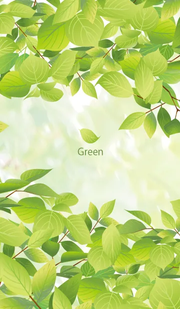[LINE着せ替え] 新緑の葉の画像1
