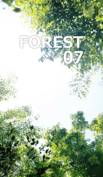 [LINE着せ替え] FOREST-森林07の画像1