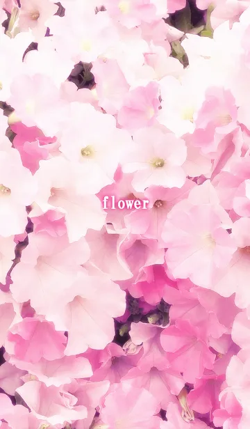 [LINE着せ替え] -*flower*-の画像1