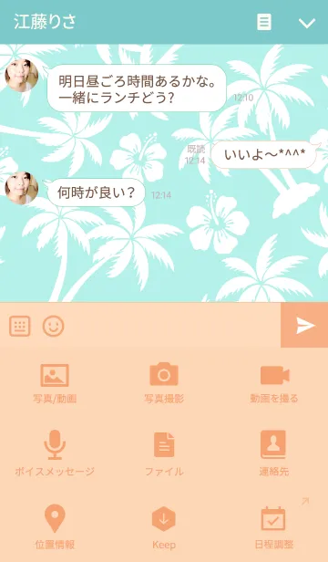 [LINE着せ替え] Hawaii mintの画像4