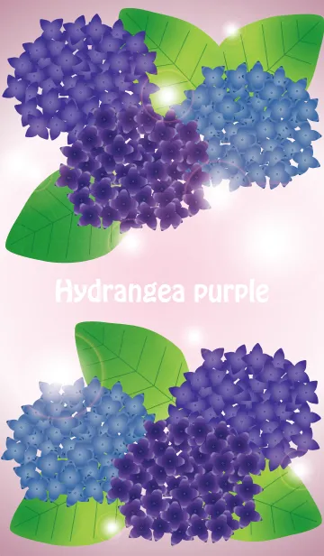 [LINE着せ替え] Hydrangea purpleの画像1