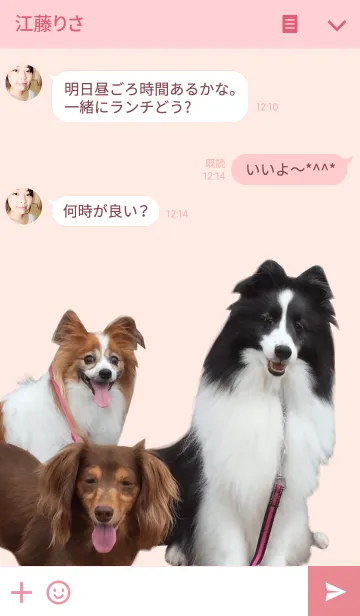 [LINE着せ替え] シェルティとその仲間の画像3