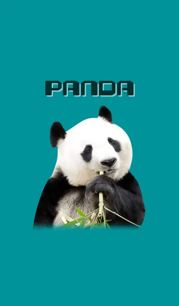 [LINE着せ替え] PANDA かわいいパンダの画像1