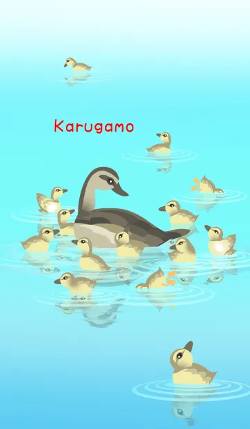 [LINE着せ替え] カルガモの画像1