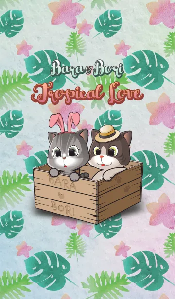 [LINE着せ替え] Bara＆Bori Tropical Love！の画像1