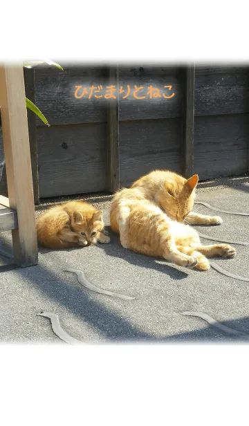 ひだまりとこねこの着せ替えメイン画像