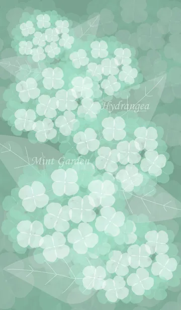 [LINE着せ替え] Hydrangea Mint Gardenの画像1