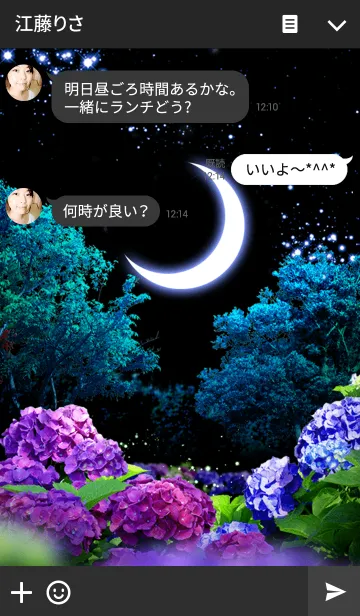 [LINE着せ替え] 紫陽花と月の画像3