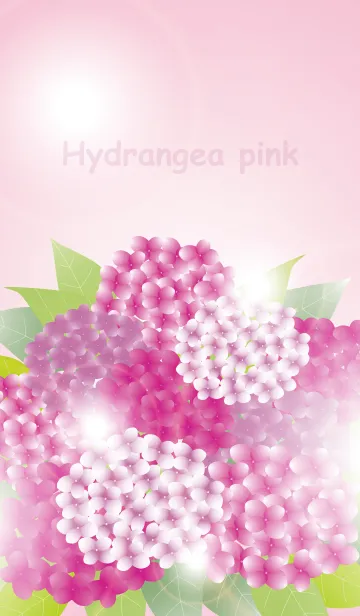 [LINE着せ替え] Hydrangea pinkの画像1
