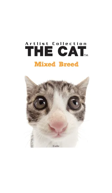 THE CAT ミックスの着せ替えメイン画像